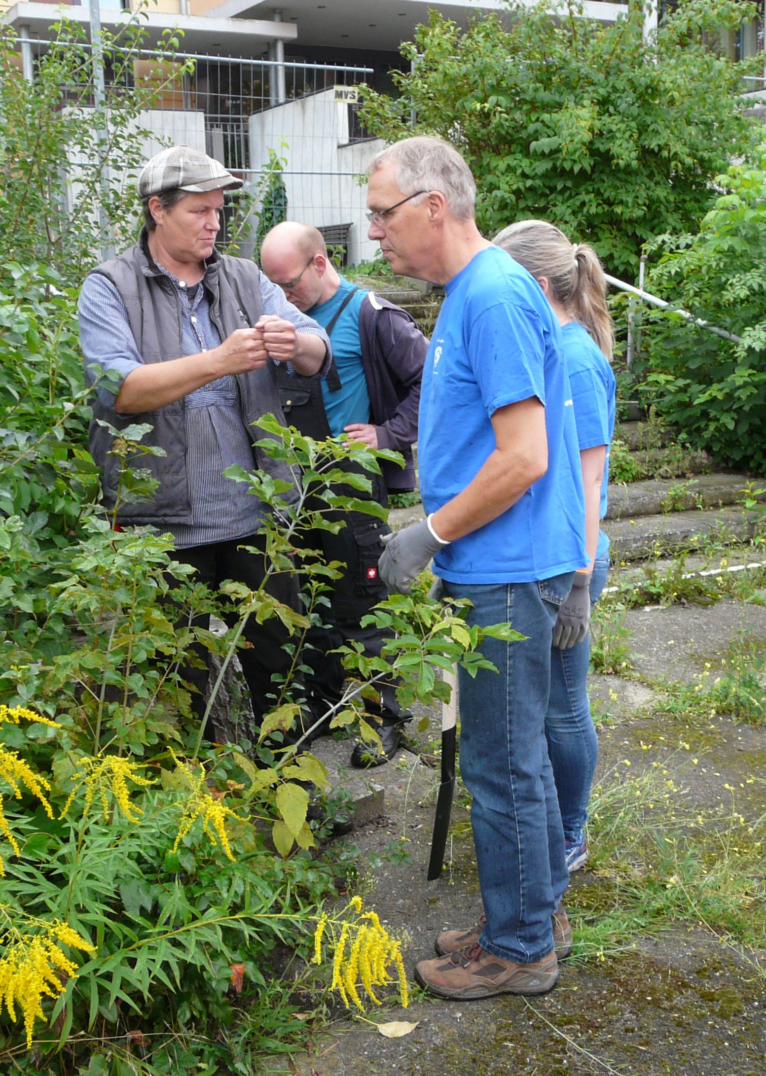 Gartenarbeit