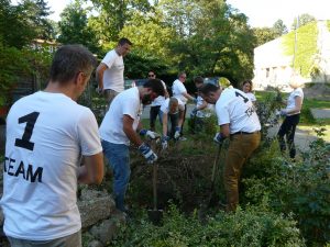 Teameinsatz Garten