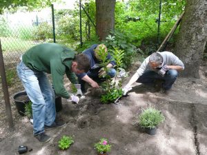 Teambuilding im Garteneinsatz