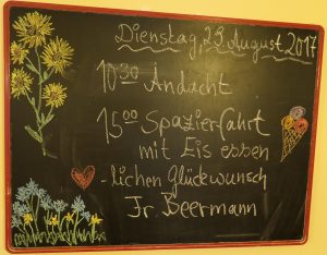 Ausflug Sonnenschein