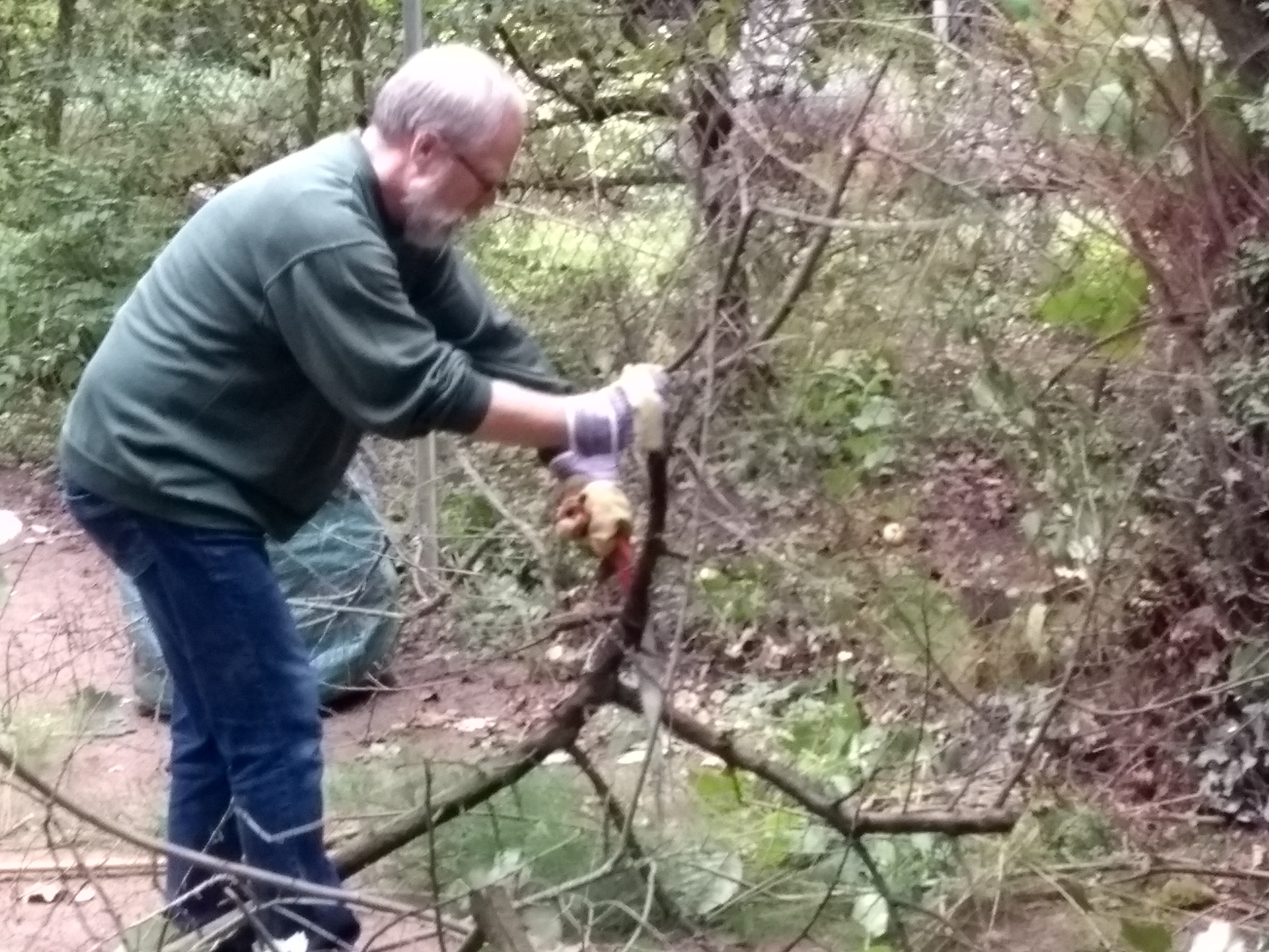 IMG_20190926_100841251