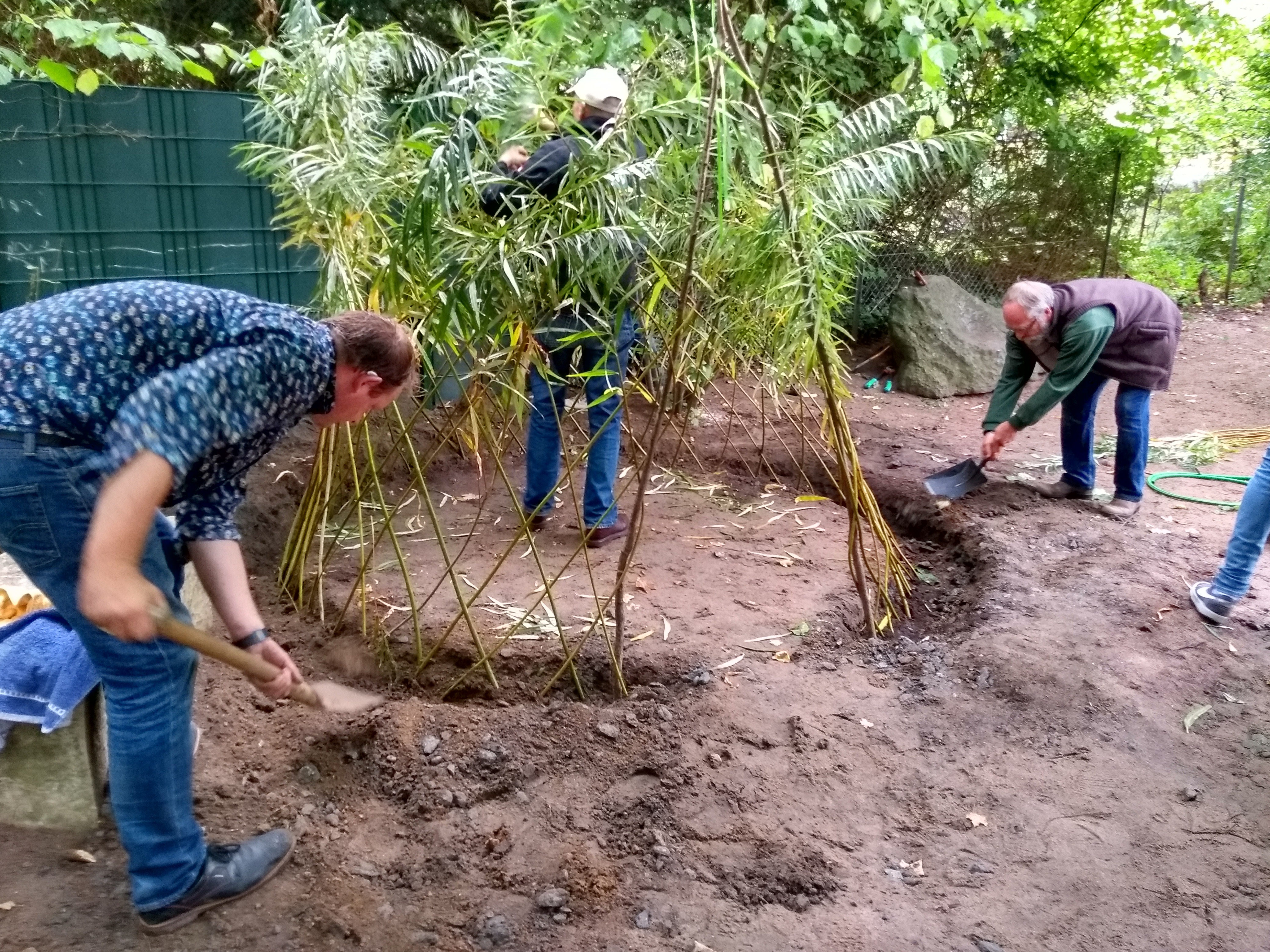 IMG_20190926_121141915_HDR