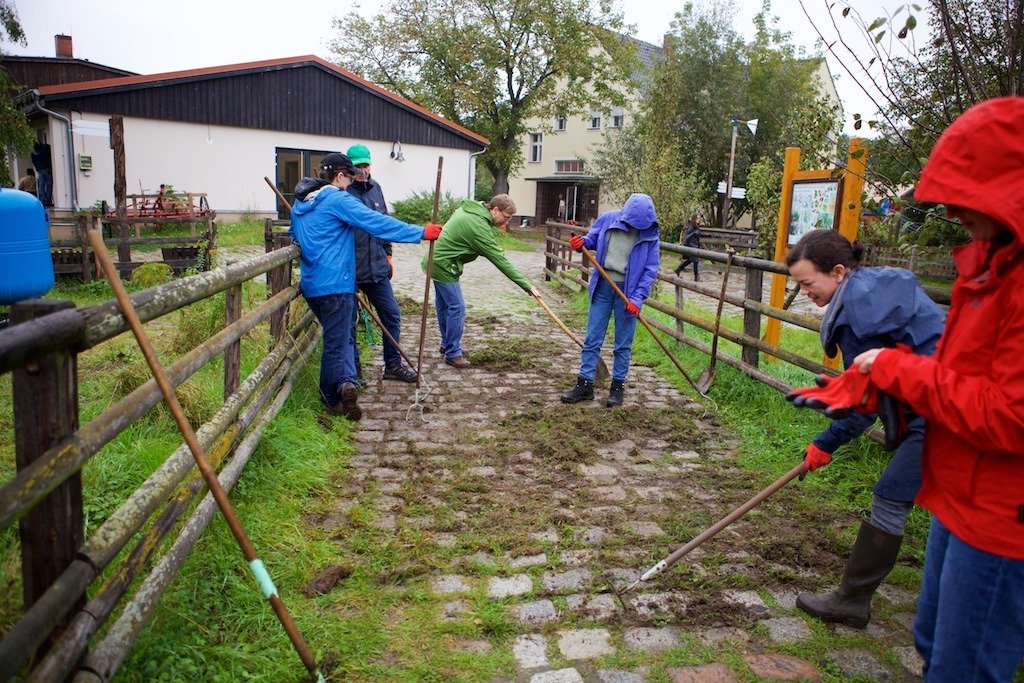 211005 Social Day_Egon Zehnder_ IMG_0125