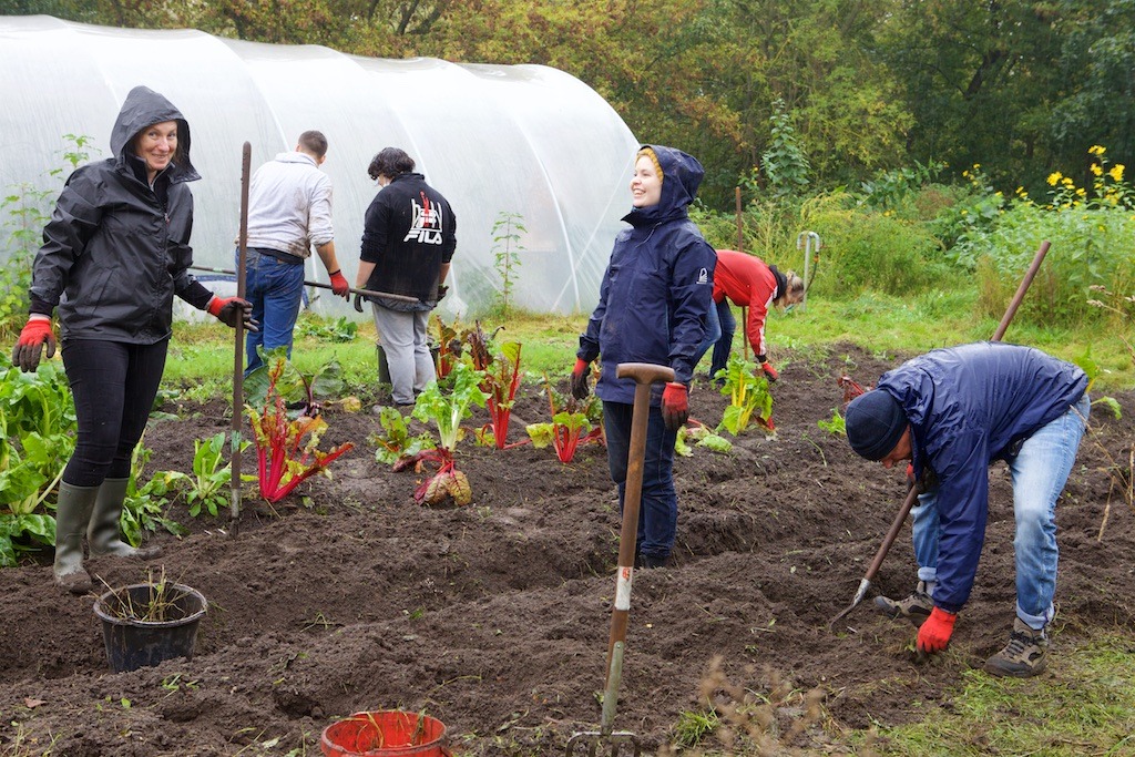 211005 Social Day_Egon Zehnder_ IMG_0226