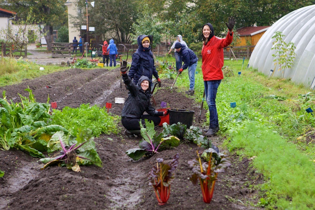 211005 Social Day_Egon Zehnder_ IMG_0251