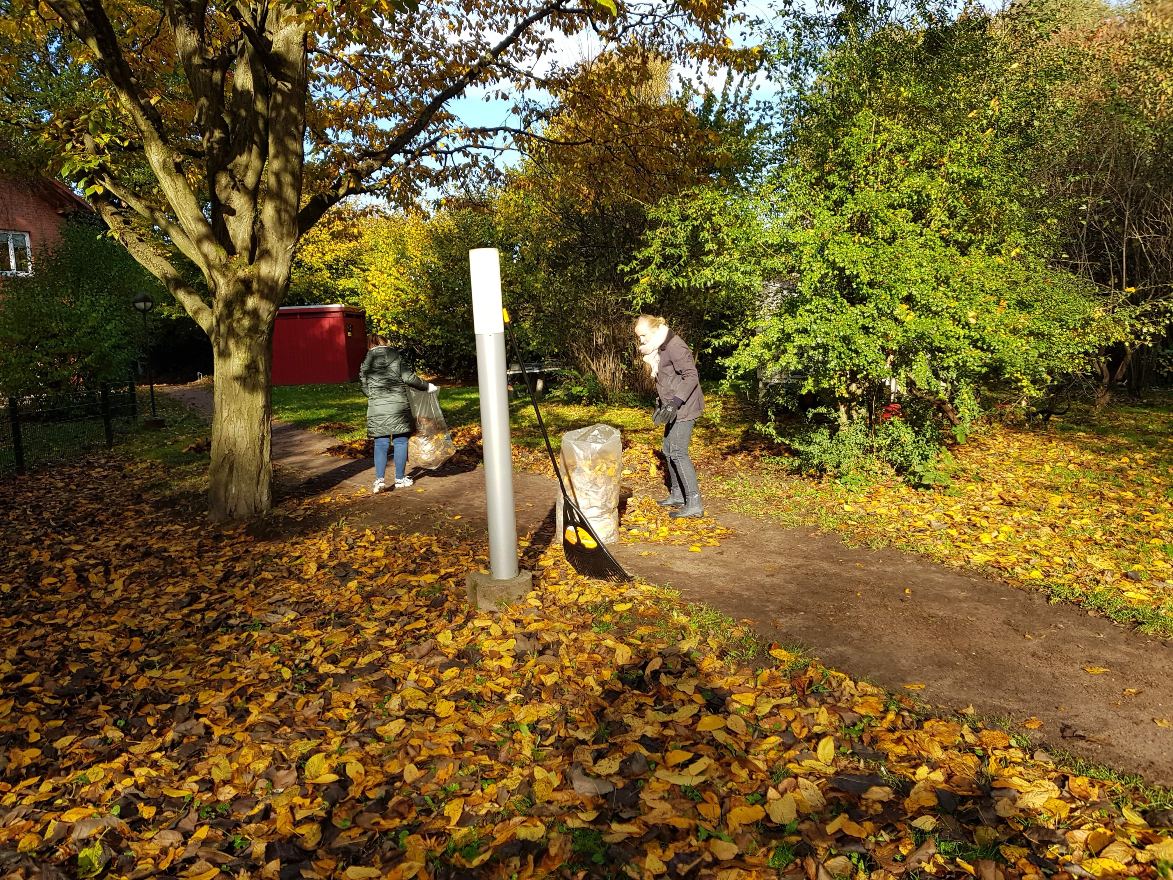 2021-10-25 11.09.56-min