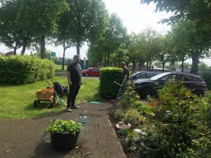IMG_3883